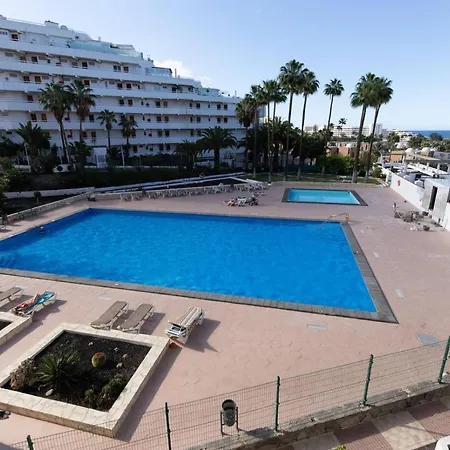 Modern With Pool And Wifi Apartment